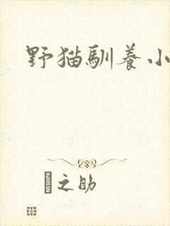 野猫驯养小说封面