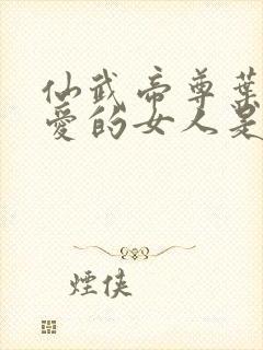 仙武帝尊叶辰最爱的女人是谁封面