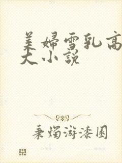 美妇雪乳高耸硕大小说