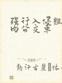 强行入侵粗暴h肉公交车