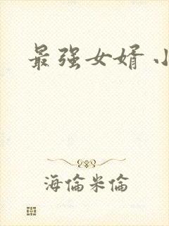 最强女婿 小说封面