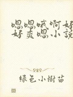 嗯嗯哦啊好大哦好爽嗯小说