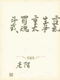 斗罗重生霍雨浩武魂太争气了笔趣阁封面