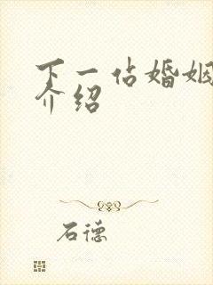 下一站婚姻剧情介绍