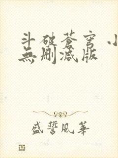 斗破苍穹 小说无删减版封面