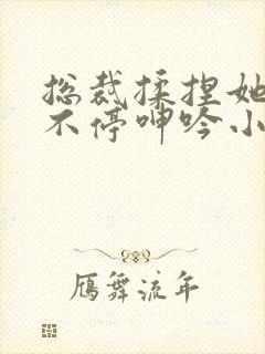 总裁揉捏她两乳不停呻吟小视频