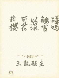 我可以触碰你的樱花深处吗封面