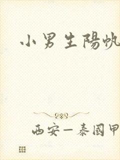 小男生阳帆封面