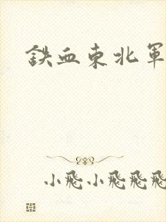 铁血东北军封面