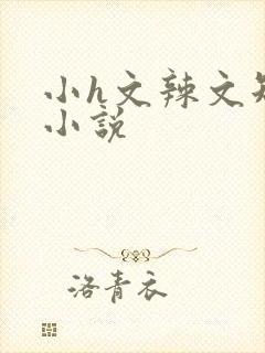 小h文辣文短篇小说