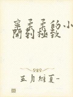 宁柔柔的小泬撑开到极致封面