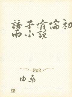 诱子偷伦初尝云雨小说封面