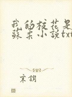 我的校花是福姬苏柔小说txt