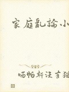 家庭乱论小说封面