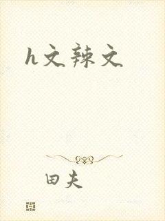 h文辣文