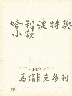 哈利波特与密室小说封面