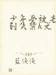 少年受被老头肉到失禁h文