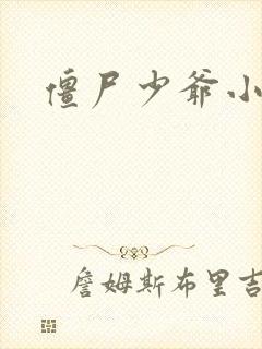 僵尸少爷小说封面