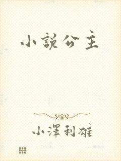 小说公主封面