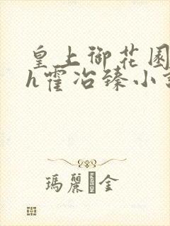 皇上御花园hlh霍冶臻小说