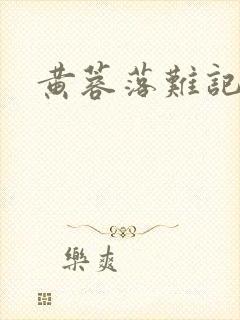 黄蓉落难记封面