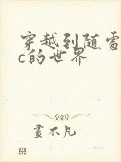 穿越到随处可以c的世界