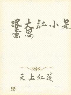 眼大肚小是什么意思