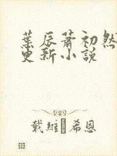 叶辰萧初然最快更新小说