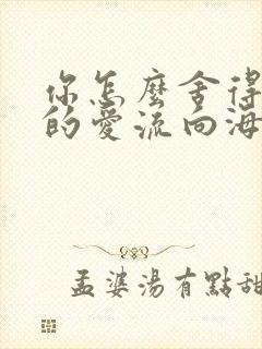 你怎么舍得让我的爱流向海