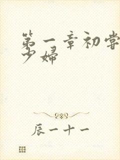第一章初尝极品少妇封面