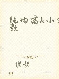 纯肉高h小说调教