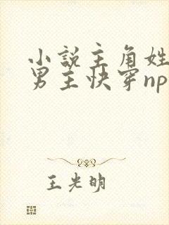 小说主角姓林双男主快穿np