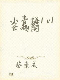 小青梅1 v1笔趣阁封面