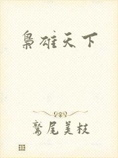 枭雄天下