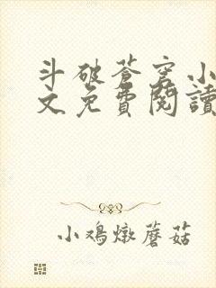 斗破苍穹小说全文免费阅读下载封面