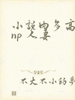 小说肉多高h np 人妻