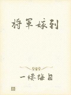 将军嫁到