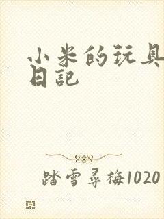 小米的玩具羞辱日记