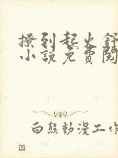 撩到起火舒漾的小说免费阅读全文