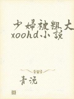 少妇被粗大爽ⅹxoohd小说