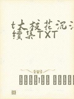 t大校花沉浮录续集TXT