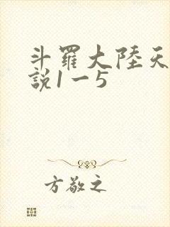 斗罗大陆天狂传说1一5封面