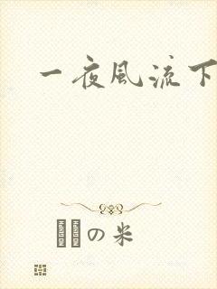 一夜风流下载封面