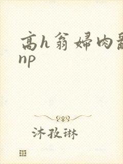 高h翁妇肉乱文np封面