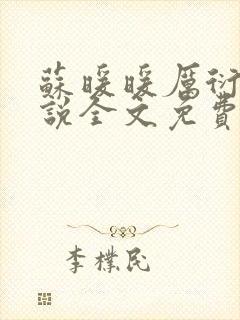 苏暖暖厉衍琛小说全文免费阅读封面