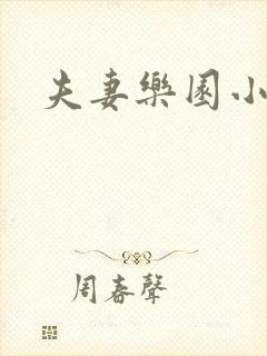 夫妻乐园小说封面