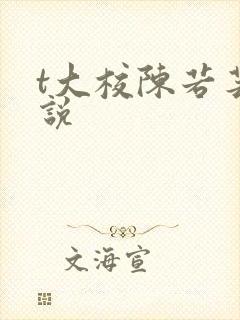 t大校陈若芸小说封面