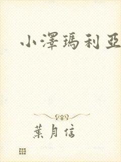 小泽玛利亚作品封面