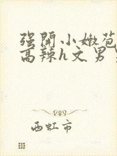 强开小嫩苞h文高辣h文男男