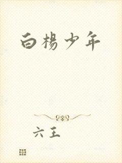 白杨少年